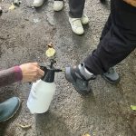 IMG_6597